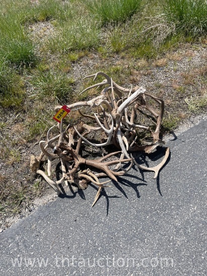 8 SKULL CAPPED AND MISC DEER ANTLERS