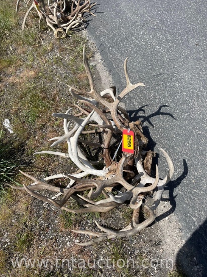 7 SKULL CAPPED DEER ANTLERS