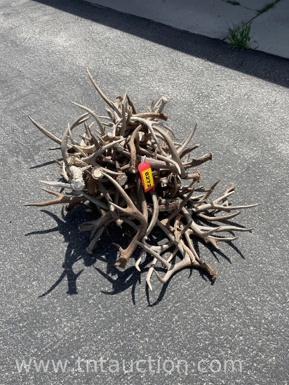 MISC DEER ANTLERS