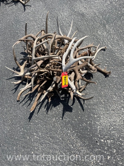 MISC DEER ANTLERS