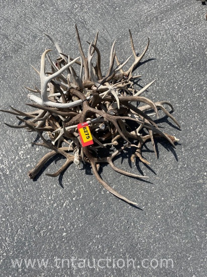 MISC DEER ANTLERS