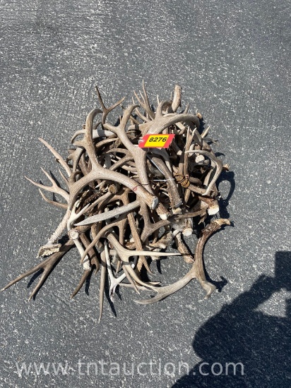 MISC DEER ANTLERS