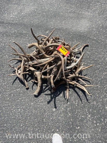 MISC DEER ANTLERS