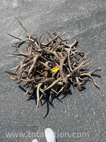MISC DEER ANTLERS