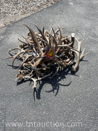 MISC DEER ANTLERS
