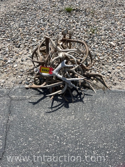 MISC DEER ANTLERS