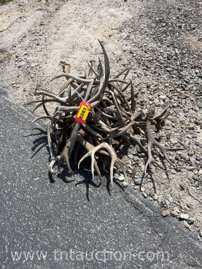 MISC DEER ANTLERS