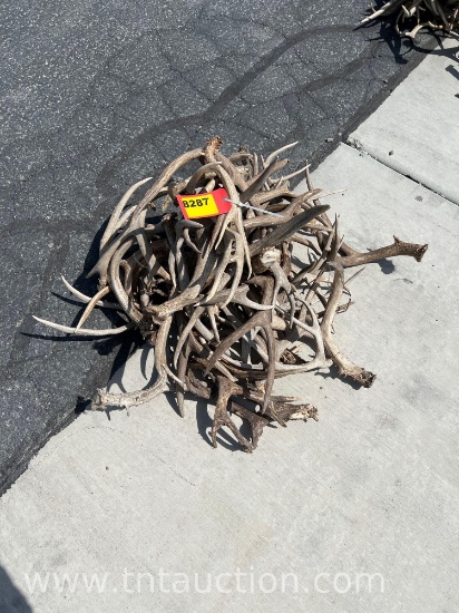 MISC DEER ANTLERS