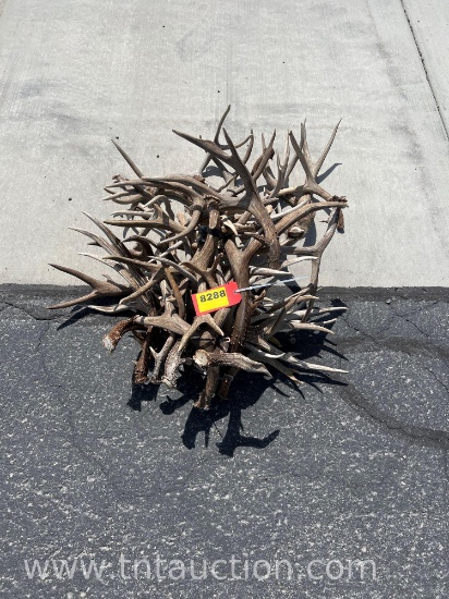 MISC DEER ANTLERS