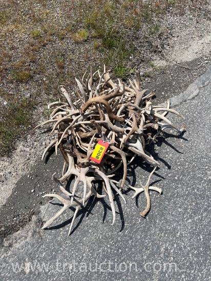 MISC DEER ANTLERS