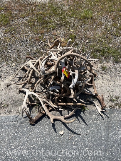 MISC DEER ANTLERS