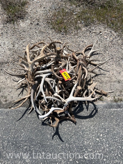 MISC DEER ANTLERS