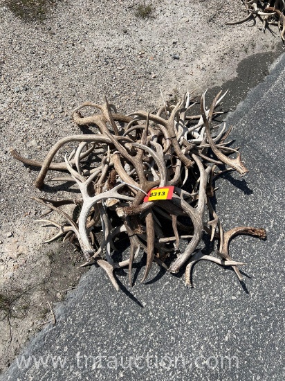 MISC DEER ANTLERS