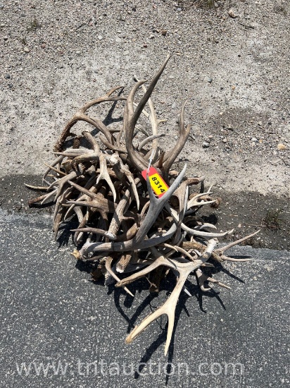 MISC DEER ANTLERS
