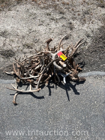 MISC DEER ANTLERS