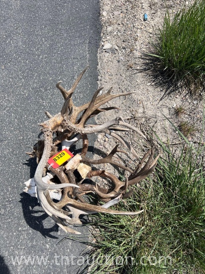 7 SKULL CAPPED DEER ANTLERS