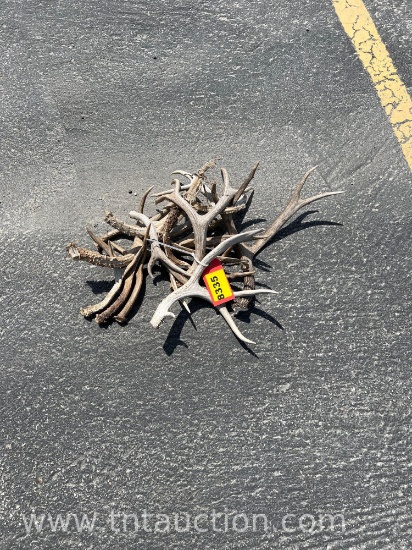 MISC DEER ANTLERS