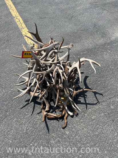 MISC DEER ANTLERS