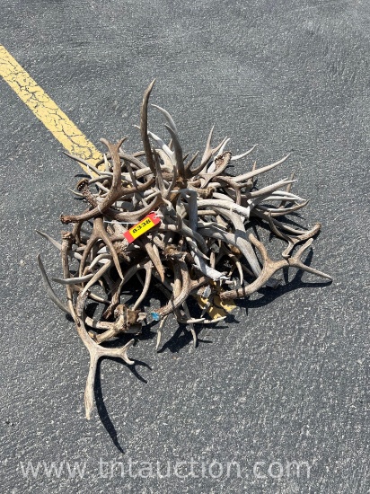 MISC DEER ANTLERS