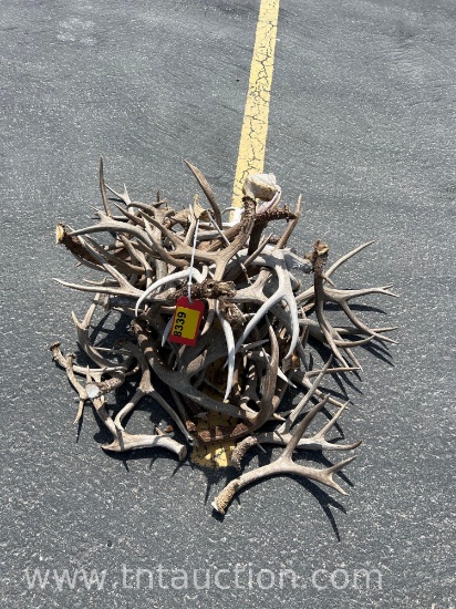 MISC DEER ANTLERS