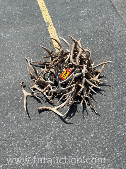 MISC DEER ANTLERS