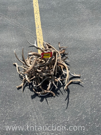 MISC DEER ANTLERS