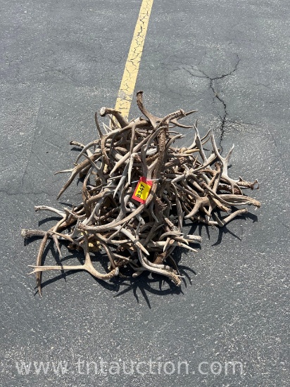 MISC DEER ANTLERS