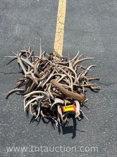MISC DEER ANTLERS