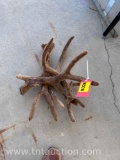 4 DEER ANTLERS VELVET