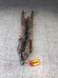 BOBCAT PELT