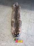 BOBCAT PELT