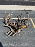 4 ELK HEADS