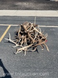 MISC ELK ANTLERS