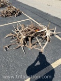 MISC ELK ANTLERS