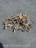 MISC DEER ANTLERS
