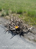MISC DEER ANTLERS