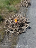 MISC DEER ANTLERS