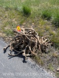 MISC VELVET DEER ANTLERS