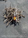 MISC DEER ANTLERS