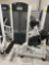 LIFETIME FITNESS BACK EXTENSION