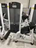 LIFETIME FITNESS BACK EXTENSION