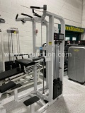 LIFETIME FITNESS ASSISTED DIP/CHIN