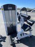 LIFETIME FITNESS BACK EXTENSION
