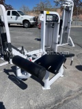 LIFETIME FITNESS LEG CURL