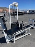 LIFETIME FITNESS LEG PRESS