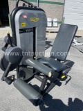 TECHNO GYM LEG EXTENSION