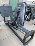 Technogym Leg Press