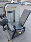 Technogym Leg Extension