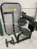 Technogym Lowerback
