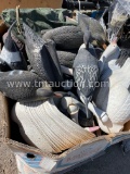 Duck Decoys